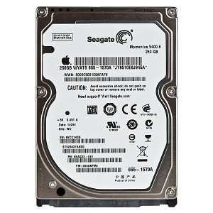  SEAGATE TECHNOLOGY, Seagate Momentus 5400.6 ST9250315AS 