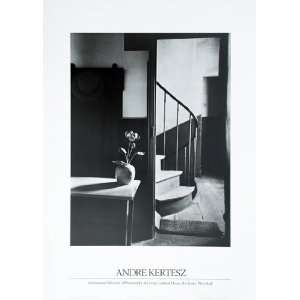  Chez Mondrian by Andre Kertesz 20x28