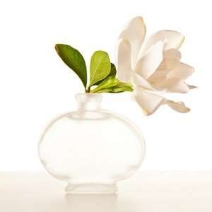  Gardenia soap fragrance oil pure uncut: Beauty
