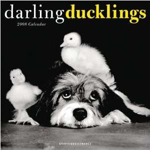  Darling Ducklings 2008 Wall Calendar: Office Products