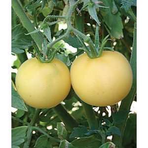  Tomato, Garden Peach Organic 1 Pkt. (25 Seeds) Patio 