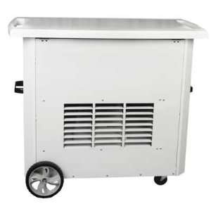   Propane Tent Heater LP 125000 Btu White #TB116: Home Improvement