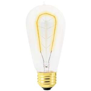   Carbon Filament Edison Bulb (1900/HORSESHOE/CARBON): Home Improvement