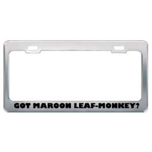 Got Maroon Leaf Monkey? Animals Pets Metal License Plate Frame Holder 