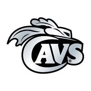    Virginia Cavaliers Silver Auto Emblem *SALE*: Sports & Outdoors