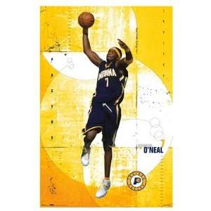  Jermaine ONeal Dunk Poster (3879)