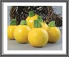 10 Zucchini Seeds One Ball Yellow Bush