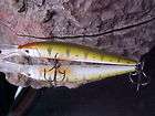 New Reaction Strike XRM 100 4 Suspending Minnow Lure items in Your 