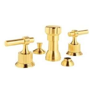 Santec Bidet Fitting With LM Style Handles 1770LM50 Polished 24k 