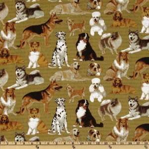  44 Wide Cats And Dogs Dog Toss Multi Fabric By The Yard 