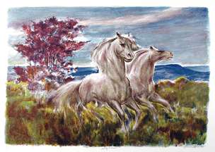 Lumen Winter, Daybreak, Lithograph Wild Horses  