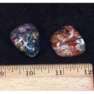  Tumbled Pietersite  (3/4   1) & Thick   1pc. Everything 