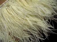 Fj7 Pale Yellow Ostrich feather fringe Trim per Feet  