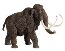 State Gifts   Safari Carnegie Collection   Woolly Mammoth
