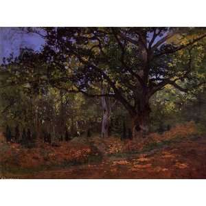   Monet   24 x 18 inches   The Bodmer Oak, Fontainebleau