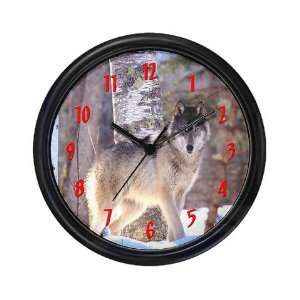  Timber Wolf   White Wolf Wolf Wall Clock by CafePress 