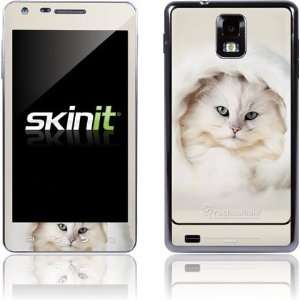  White Persian Cat skin for samsung Infuse 4G: Electronics