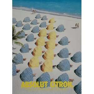   Ad Absolut Citron Vodka Beach Umbrellas D. Stewart   Original Print Ad
