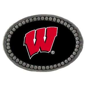  Wisconsin Team Logo Lapel Pin: Sports & Outdoors