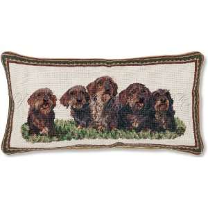 Wirehaired Dachshunds Needlepoint Pillow