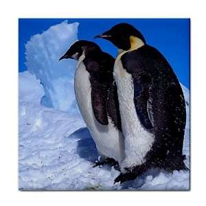    Penguins Ceramic Tile Coaster Great Gift Idea: Office Products
