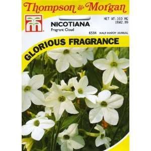   6534 Nicotiana Fragrant Cloud Seed Packet Patio, Lawn & Garden