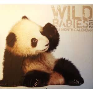  Wild Babies 16 Month Calendar 2011: Office Products