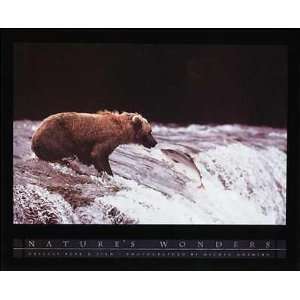  Michio Hoshino   Grizzly Bear And Fish: Home & Kitchen