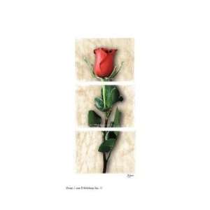  Rose Of Love Poster Print: Home & Kitchen