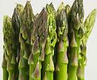 Asparagus Seeds ✼ Mary Washington ✼ Heirloom Perennial ✼ 20 