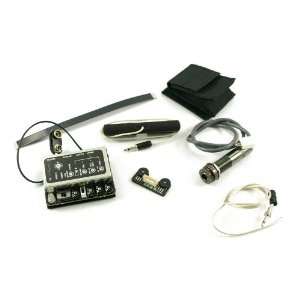 LR BAGGS® INTERNAL PREAMP/MIXER WITH ELEMENT AND IBEAM PICKUPS AND 