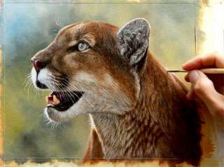   Lion Original Oil Painting on Canvas Jason Morgan wildlife art  