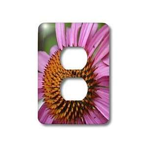   Expression  Photography   Light Switch Covers   2 plug outlet cover
