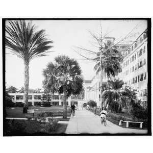   Along the west facade,Royal Poinciana,Palm Beach,Fla.