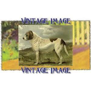   Acrylic Fridge Magnet Dogs St Bernard 2 Vintage Image: Home & Kitchen
