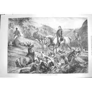   1871 Stag Exmoor Forest Hunting Hounds Plan Aldershott