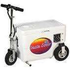 Cruzin Cooler 250 Watt Electric Scooter w/ free seatpad and cover 
