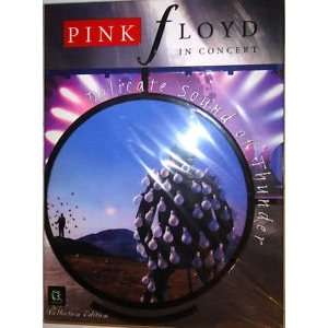  DVD Pink Floyd Delicate Sound of Thunder 