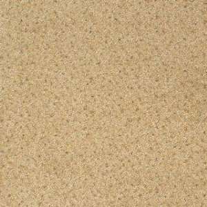   Legato Embrace Almond Brittle Carpet Tiles: Home Improvement