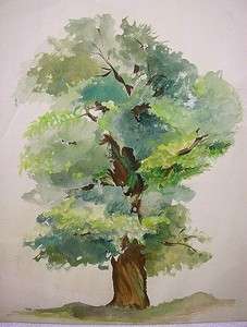 SUPERB WATERCOLOR PAINTING LEAFY GREEN TREE c1920  