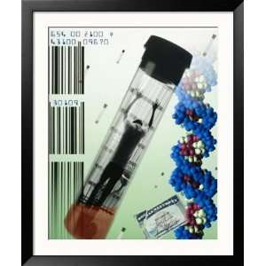  Dna Fingerprinting or Blood Testing Collections Framed 