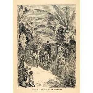  1888 Wood Engraving General Grant Banana Plantation Jungle 