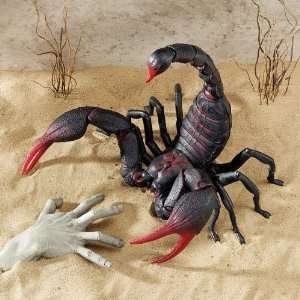  19h Desert Scorpion King Statue Sculpture Figurine