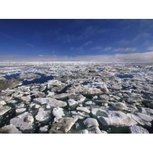  Melting Pack Ice in the Chukchi Sea, Arctic Ocean 