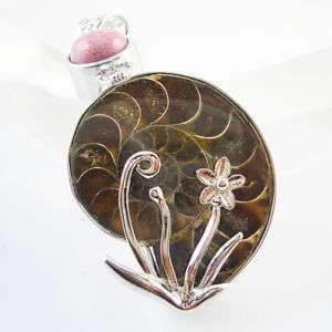 Natural AMMONITE FOSSIL SHELL silver pendant PT07D  