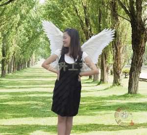 White Angel Feather Wings as Halloween 80cm×80cm  