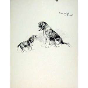   Old Fine Art C1936 Sketch Dog Hound Drawing Pet Animal