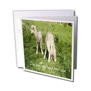   fun, love, valentine, cute   Greeting Cards 6 Greeting Cards with
