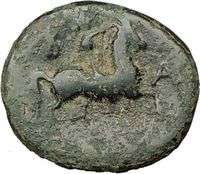 ANTIGONOS II GONATAS RARE Mule Drachm Obverse Ancient Greek Coin 