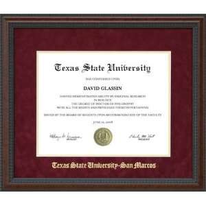  Texas State Diploma Frame with Embossed Suede Mat Sports 